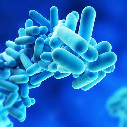 Prevenzione e controllo legionella